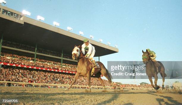 Taiki Blizzard, ridden by Yukio Okabe , and Editor's Note, ridden by Gary Stevens, pass the stands during the Breeders' Cup Classic race at Woodbine...