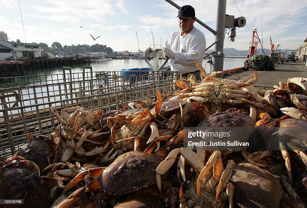 Commercial Crab Season Begins In Bay Area