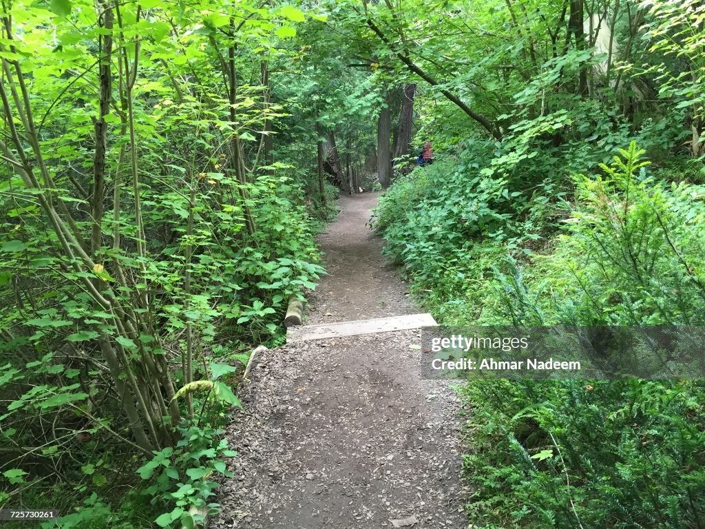 Phot Pathways Pathways High-Res Stock Photo - Getty Images