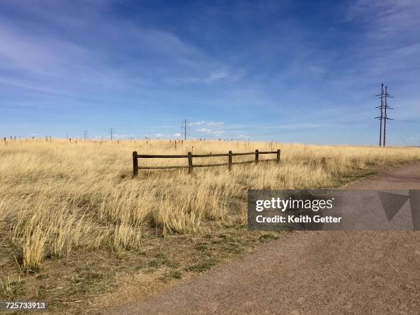 Prairie Border Prairie Grass Border Photos and Premium High Res Pictures - Getty Images