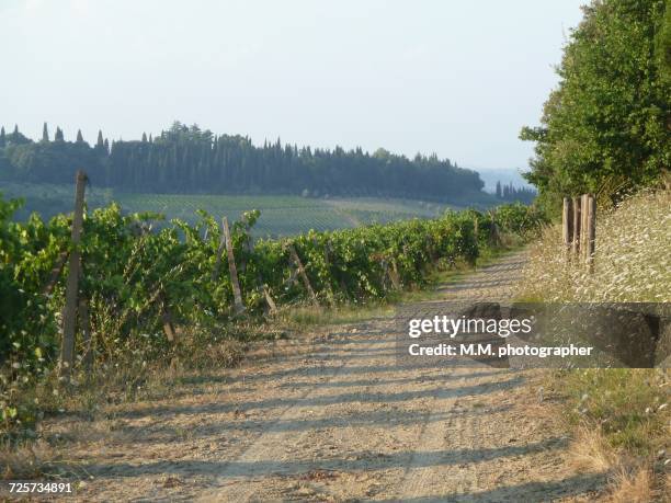 pathways  - agricoltura - fotografias e filmes do acervo