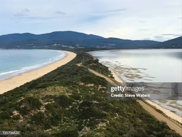 choice - bruny island stock pictures, royalty-free photos & images