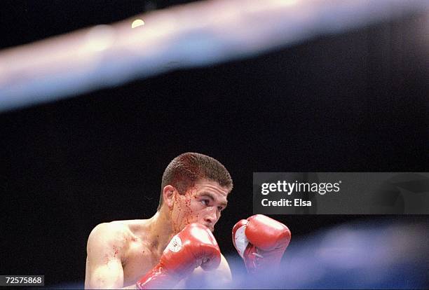 Alejandro Monteil in action during a bout against Mark Johnson at the Great Western Forum in Inglewood, California. Mandatory Credit: Elsa Hasch...