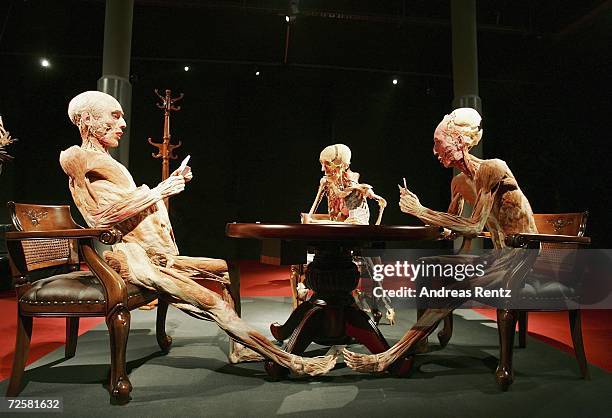 Gunther von Hagens, known as "The Plastinator", shows exhibits in a scene of the current James Bond film Casino Royale at the Plastinarium workshop...