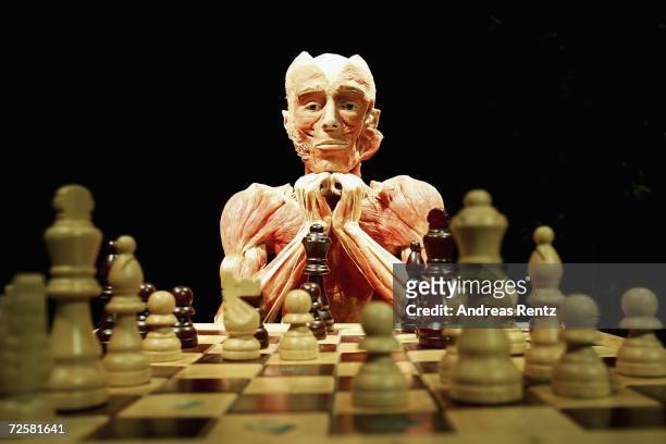 Gunther von Hagens, known as "The Plastinator", shows a exhibit who plays chess at the Plastinarium workshop and showroom during the inauguration on...