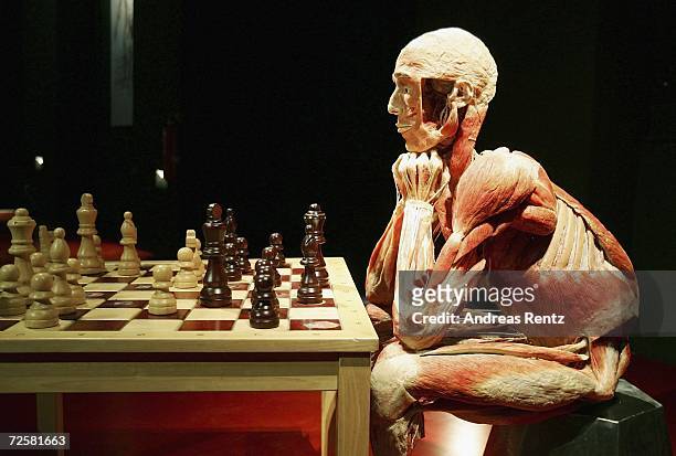 Gunther von Hagens, known as "The Plastinator", shows a exhibit who plays chess at the Plastinarium workshop and showroom during the inauguration on...