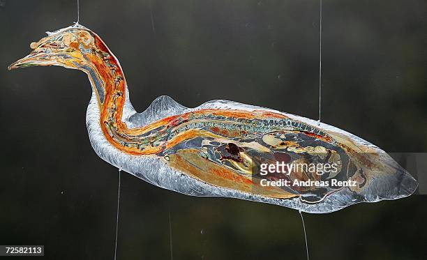 Cross-section of a bird is displayed at the Plastinarium workshop and showroom during the inauguration of Gunther von Hagens' Plastination Factory,...