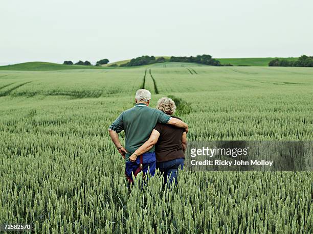 senior couple embracing in field, rear view - farm couple fotografías e imágenes de stock