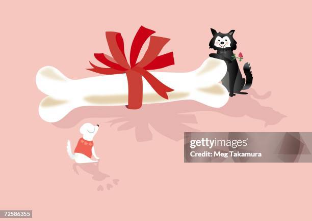 dog and a cat sitting near a bone - two cats stock illustrations