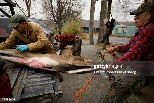 Vermont state wildlife biologist, left, helps move a recently shot whitetail deer as the hunter, Perle Webb, Sr., left, pulls its antlers on November...