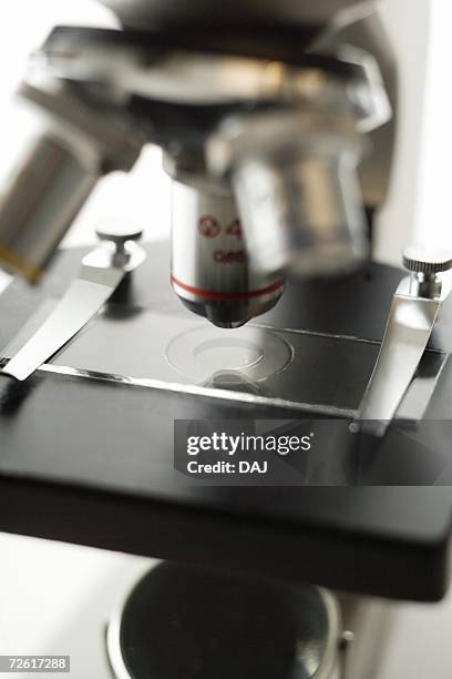 Dimpled Microscope Slide 165 Microscope Slide Isolated Stock Photos, High-Res Pictures, and ...