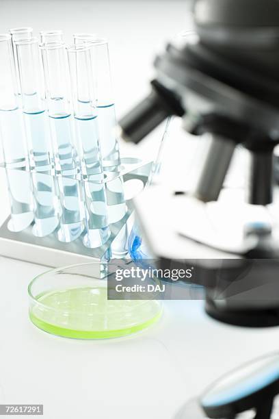 microscope, petri dish and test tubes in rack with liquids, white background, differential focus - rack focus stock-fotos und bilder