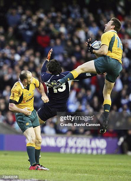 Chris Latham of Australia and Marcus Di Rollo of Scotland leap for the ball during the Autumn Test between Scotland and Australia at Murrayfield on...