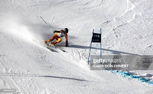 Brigitte Acton of Canada skis in the first run of the World Cup Ladies Giant Slalom 25 November, 2006 in Aspen, Colorado. AFP PHOTO/DON EMMERT