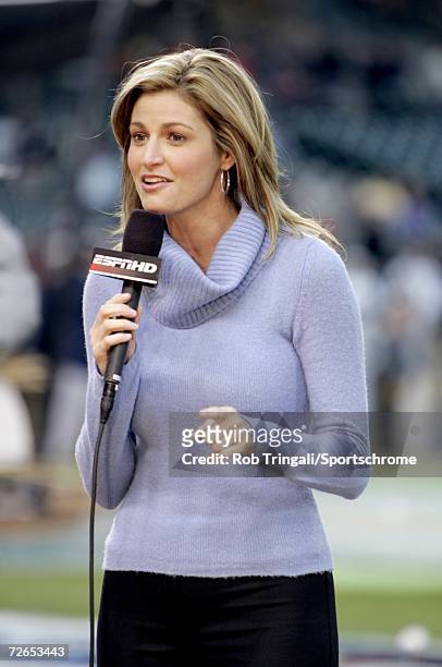 Announcer Erin Andrews before a game between the New York Yankees and the Detroit Tigers during Game Three of the 2006 American League Division...