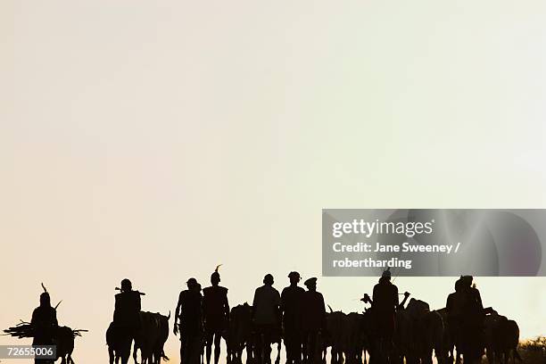 hamer (hamar) people walking back from bull jumping ceremony,turmi, lower omo valley, ethiopia, africa - lower omo valley stock pictures, royalty-free photos & images