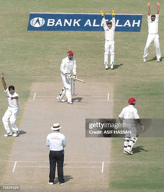 Pakistani bowler Shahid Nazir , his team captain Inzamam-ul-Haq and wicketkeeper Kamran Akmal make an unsuccessful appeal for a Leg Before Wicket...