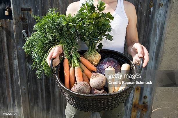 man holding freshly picked vegetables in basket - pastinaak stockfoto's en -beelden