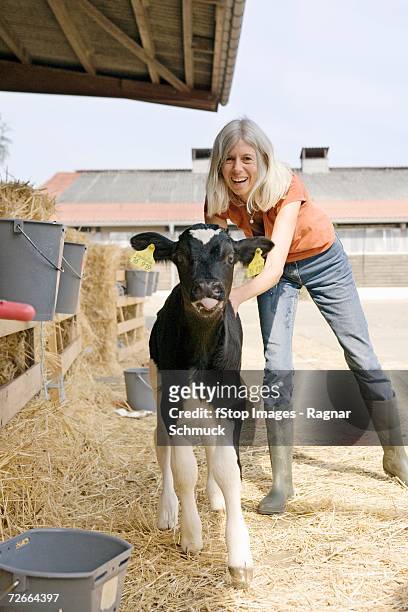 woman standing with calf in farmyard - farm numbers stock-fotos und bilder