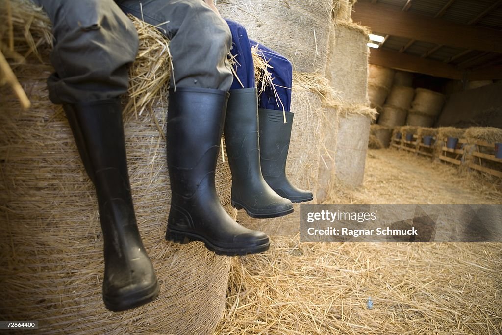 Two farm workers sitting in barn