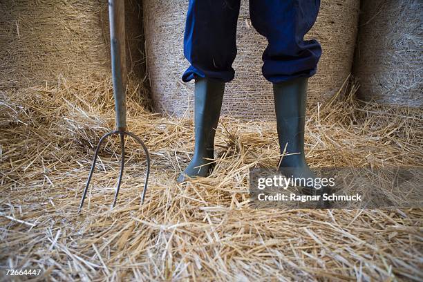 low section of farmer?s galoshes standing with pitchfork - stroh stock-fotos und bilder