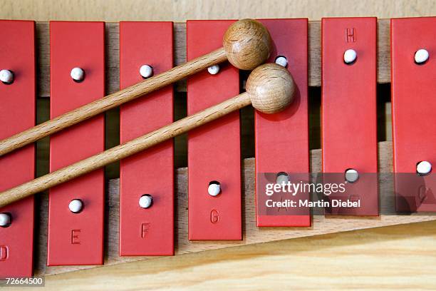 close-up of xylophone - xylophone stock-fotos und bilder