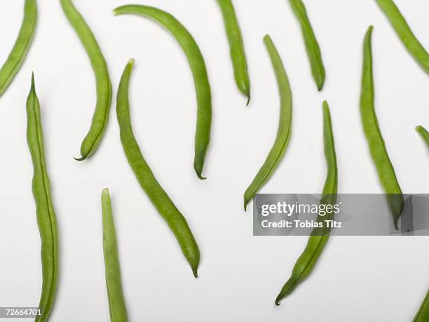 green beans - sperzieboon stockfoto's en -beelden