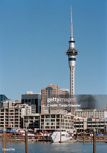 sky tower and harbor, auckland, new zealand - auckland sky tower bildbanksfoton och bilder