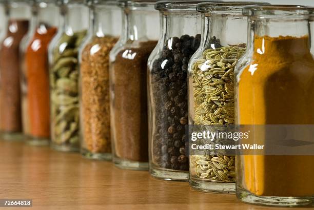 row of spice jars - kryddning bildbanksfoton och bilder