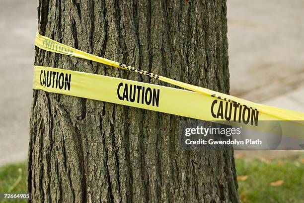 caution tape wrapped around tree - caution tape wrapped stock pictures, royalty-free photos & images