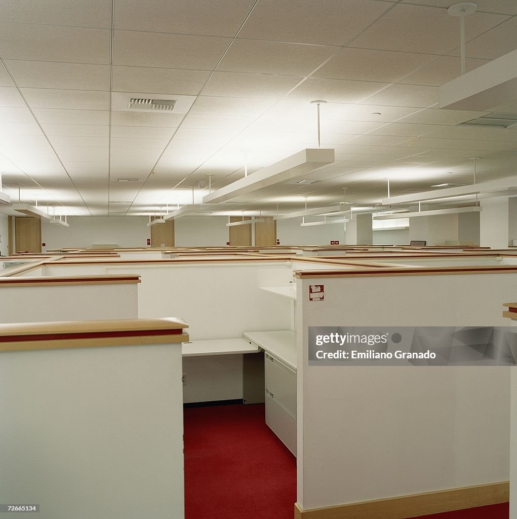 Empty office cubicles