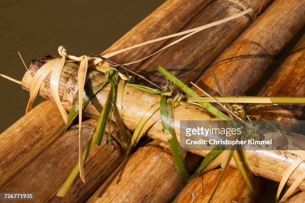 detail of a river raft constructed entirely from bamboo - bamboo raft foto e immagini stock