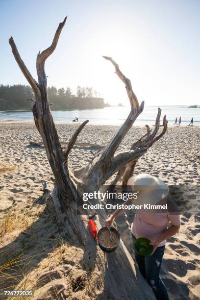 high angle view of a young woman cooking pasta dinner while camping on the beach - sunset bay state park stockfoto's en -beelden