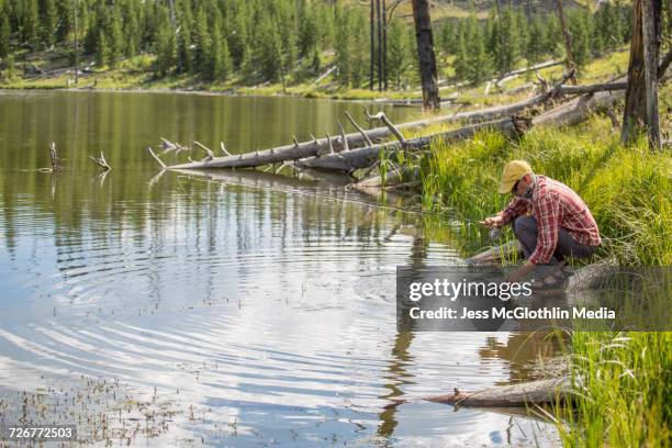 a fisherman releases a trout in a high mountain lake, absaroka-beartooth mountains, montana. - set free stock pictures, royalty-free photos & images
