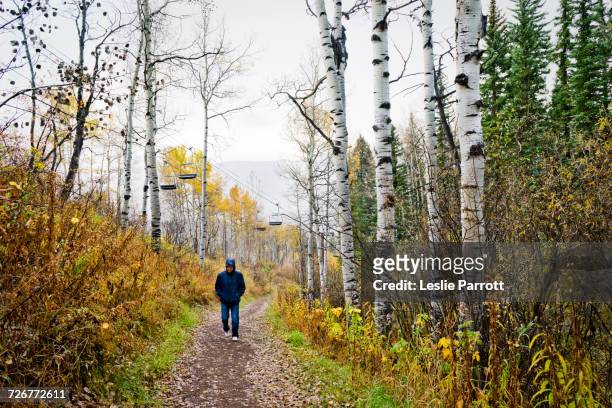 man hiking in the rain on a trail in the fall - beaver creek colorado stock-fotos und bilder