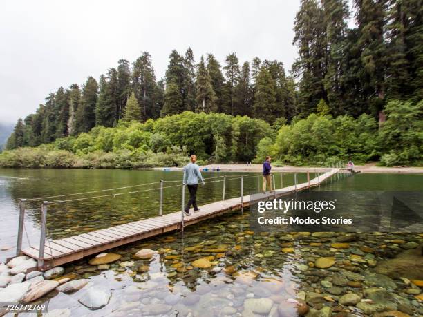 two people cross a small bridge over the smith river in californias redwoods national park. - jedediah smith redwoods state park stock pictures, royalty-free photos & images