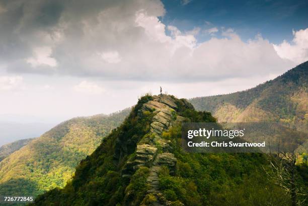 distant view of a man standing on a mountain top in the  smoky mountain national park - グレートスモーキー山脈 ストックフォトと画像