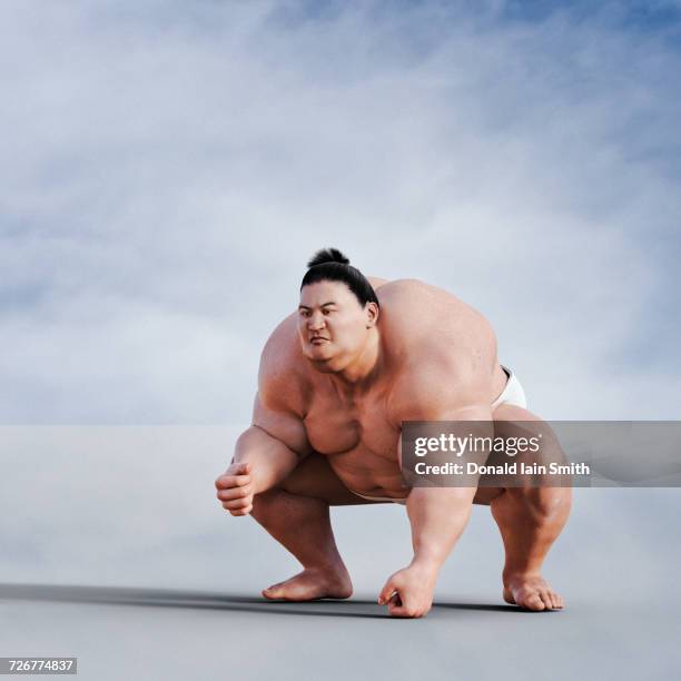 sumo wrestler crouching - sumo wrestling 個照片及圖片檔