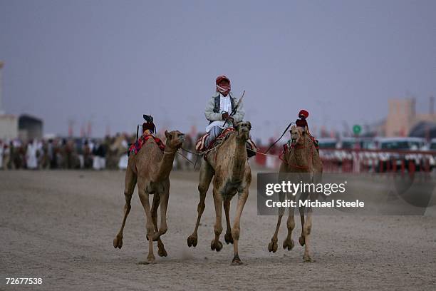 Camels Being Ridden 858 Al Shahaniya Photos & High Res Pictures - Getty Images