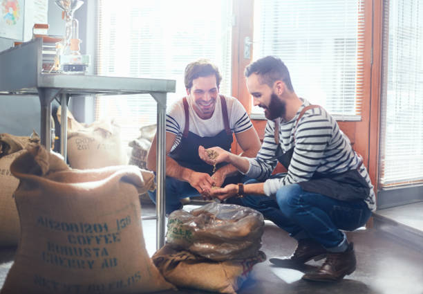 male coffee roasters examining coffee beans - professional coffee roaster stock pictures, royalty-free photos & images