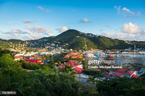 view over charlotte amalie, capital of st. thomas, us virgin islands, west indies, caribbean, central america - charlotte amalie stock pictures, royalty-free photos & images