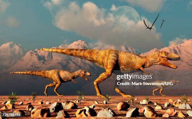 pair of carnivorous allosaurus dinosaurs - allosaurus stock-grafiken, -clipart, -cartoons und -symbole