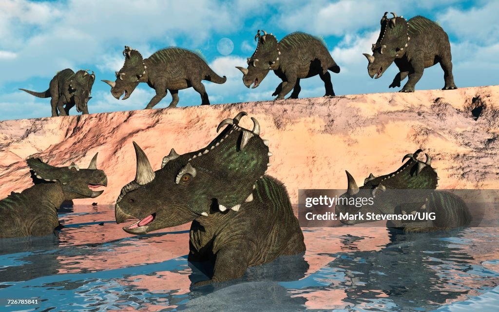 Predatory Yangchuanosaurus Stalking Pair Of Omeisaurus Sauropod