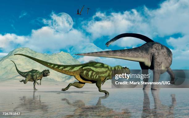 roaring t rex dinosaur unaware of falling asteroid in the sky - dinosaur asteroid stock illustrations