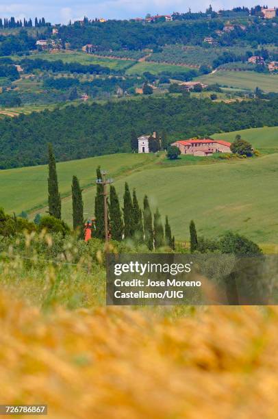 orcia valley, vitaleta chapel, pienza, tuscany, italy - capella di vitaleta - fotografias e filmes do acervo