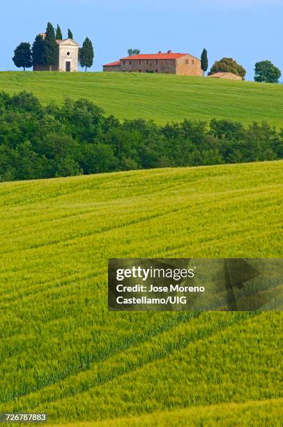 orcia valley, vitaleta chapel, pienza, tuscany, italy - capella di vitaleta fotografías e imágenes de stock