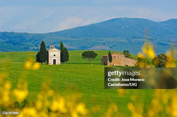 orcia valley, vitaleta chapel, pienza, tuscany, italy - capella di vitaleta stock pictures, royalty-free photos & images