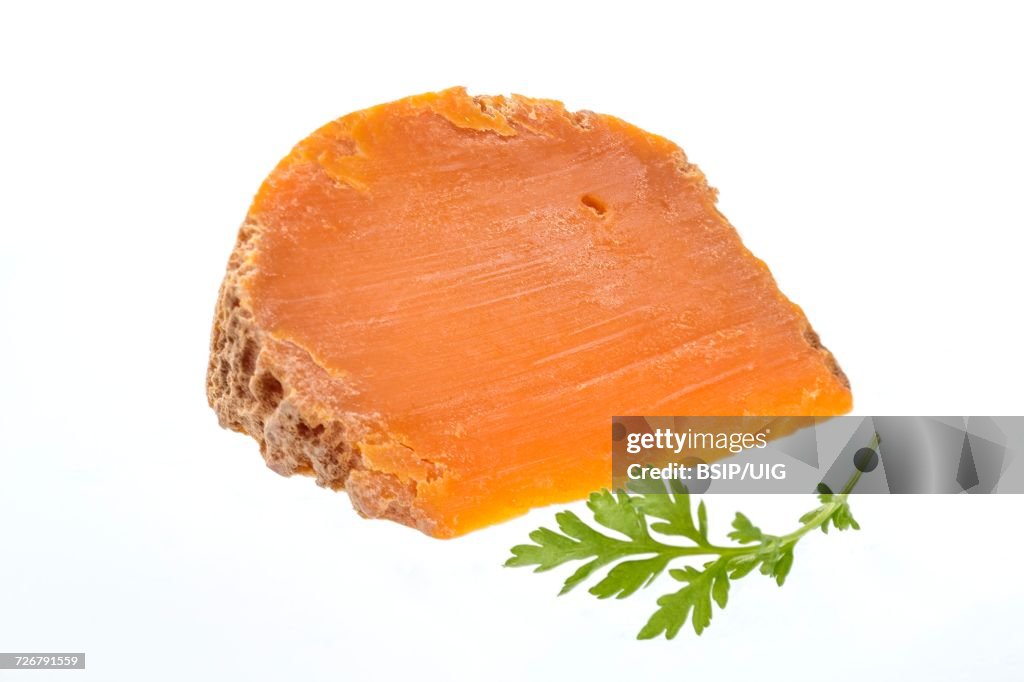 Farm mimolette cheese