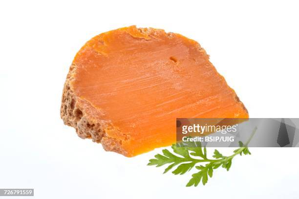 farm mimolette cheese - mimolette stock pictures, royalty-free photos & images
