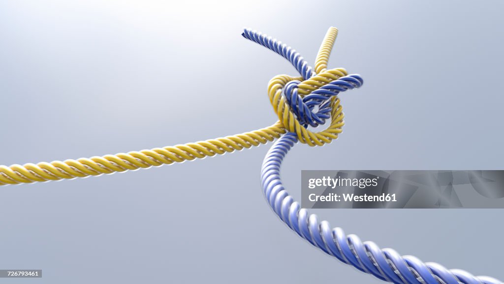 Two knotted cords, 3D Rendering
